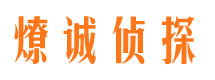 九龙坡市场调查